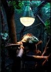 ZOO
