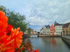 IMG-0f043f512d96c69ba2340bcfa9500903-V