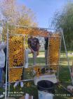 IMG-625e5f79f83fac938f6ca8e1ebdf52df-V