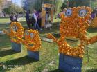 IMG-7cedf1dc792764bb5a36db4313efde2b-V