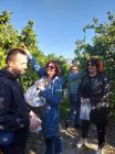 IMG-Cfa547fb4d35840d25bf59cab5632972-V