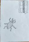 IMG_20231108_090834
