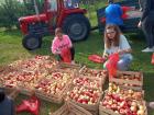 IMG-28181b6b3e8d219e8802437d6dce428f-V