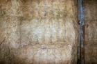 Bale Sijena I Lucerne (400 Kg)