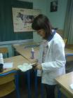 Mastitis Test 23