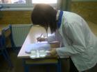 Mastitis Test 27