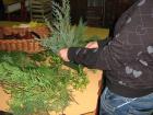 IMG_0990 (Medium)
