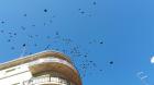 IMG-060ce054cdd1b89f7ba8b6cc2c66b65a-V