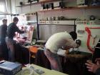 Zadar 2011 (4)