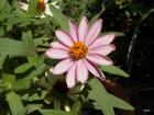 DSCN1579