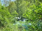 DSC04080