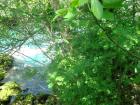 DSC04101