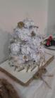 IMG-20161209-WA0006
