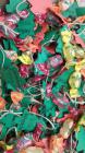 IMG-20161220-WA0007