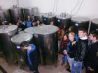 03. U Vinariji Trdeni