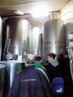 20161019_VinarijaMikauzic_podrumski Prostor