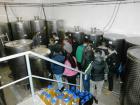 20161019_VinarijaTrdenic_podrumski-Prostor