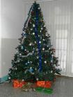 20161206_BozicnaJelka_2.F-6