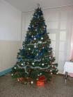 20171206_BozicnaJelka_07