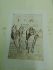 20190510_Leonardo-Da-Vinci_03