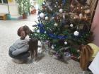 20211209_Bozicni-Darovi_10