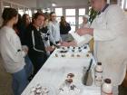 20240126_Dan Cokoladne Torte_09