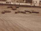Assisi_28b