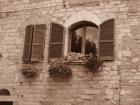 Assisi (56)