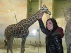 Zoo - Visoka I Via