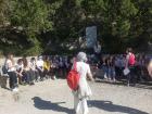 IIAL9498