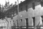 Izl8