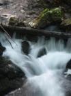 IMG_8389